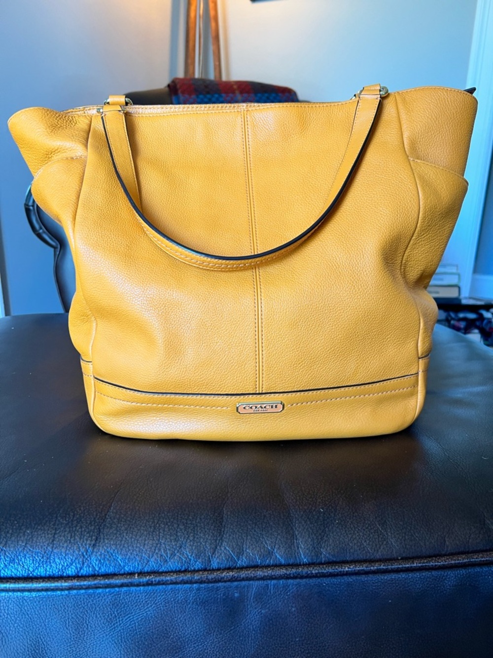Coach Carrie Tote
